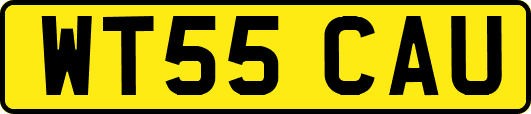 WT55CAU