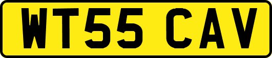 WT55CAV