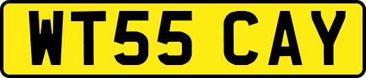 WT55CAY