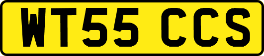 WT55CCS