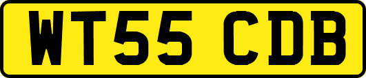 WT55CDB