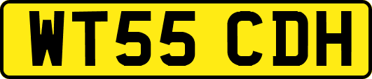 WT55CDH