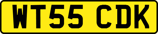 WT55CDK