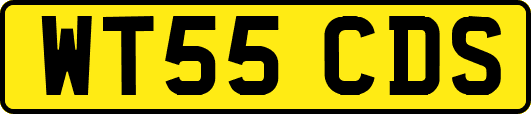 WT55CDS