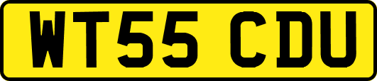 WT55CDU