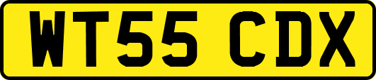 WT55CDX