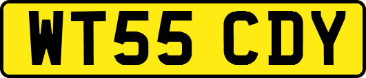 WT55CDY