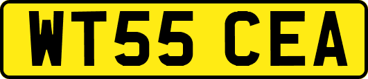WT55CEA