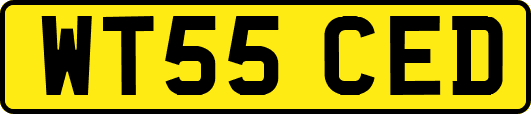 WT55CED