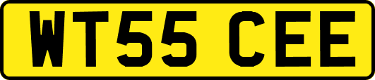 WT55CEE