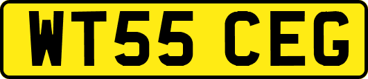 WT55CEG