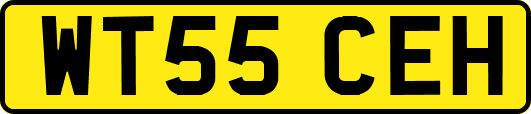 WT55CEH