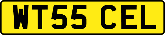 WT55CEL