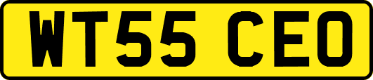 WT55CEO