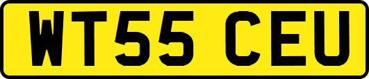 WT55CEU
