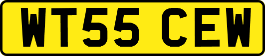 WT55CEW