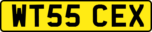 WT55CEX