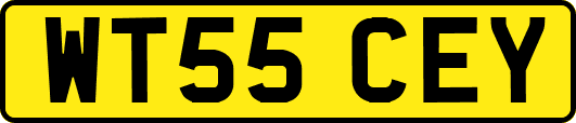 WT55CEY