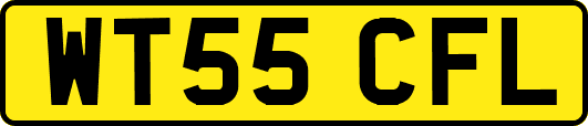 WT55CFL