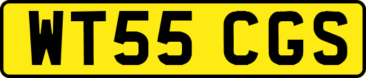 WT55CGS