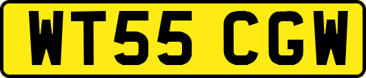 WT55CGW