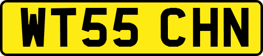 WT55CHN