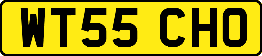 WT55CHO