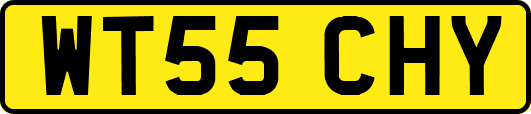 WT55CHY