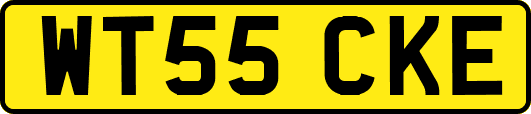WT55CKE