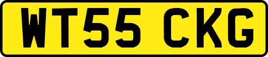 WT55CKG