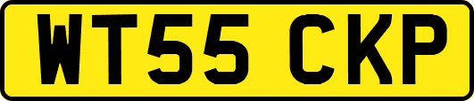 WT55CKP