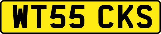 WT55CKS