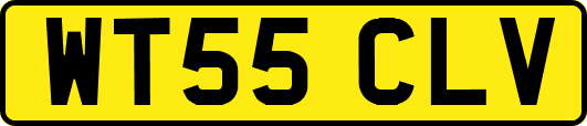 WT55CLV
