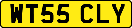 WT55CLY