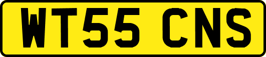 WT55CNS