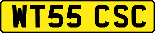 WT55CSC