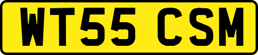 WT55CSM
