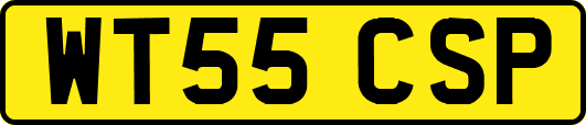 WT55CSP