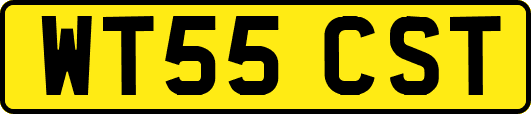 WT55CST