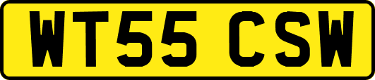 WT55CSW