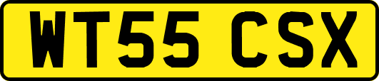 WT55CSX