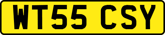 WT55CSY