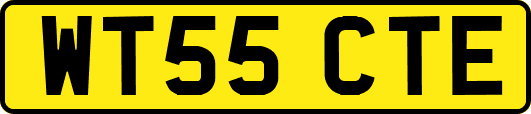 WT55CTE