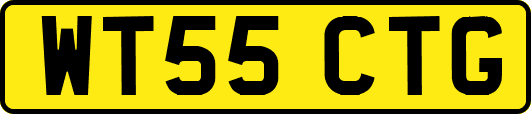 WT55CTG