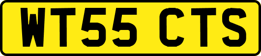 WT55CTS
