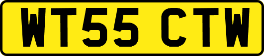 WT55CTW