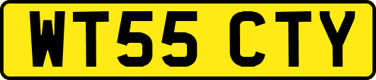 WT55CTY