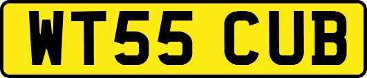 WT55CUB
