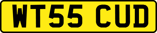 WT55CUD