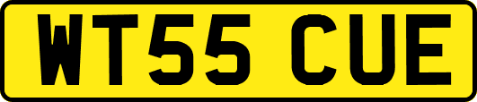 WT55CUE